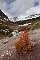 086 Glacier NP